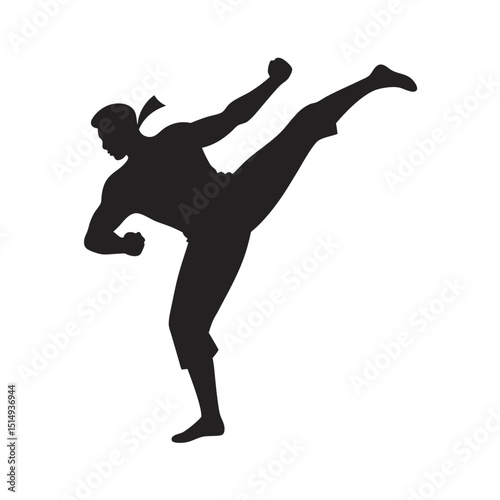 Martial Artist In High Kick Pose