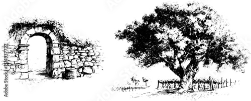 Vintage vineyard illustration set with stone arch and tree landscape