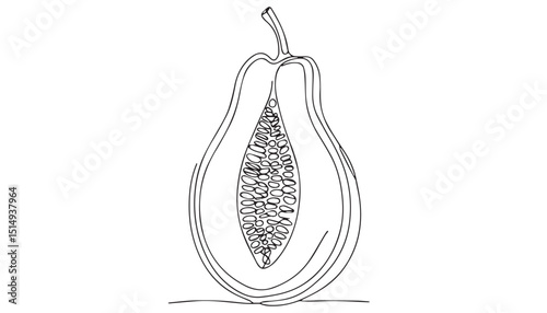 Continuous one single minimal line drawing papaya 