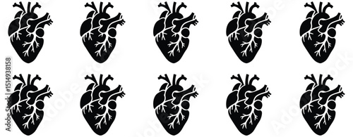 Anatomical heart vector silhouette icon set for medical, health, cardiology, anatomy, and biology illustrations


