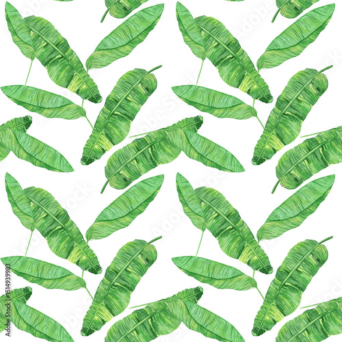 Seamless tropical watercolor pattern featuring banana palm leaves. Ideal for summer fabrics, wallpapers, packaging, and tropical designs.