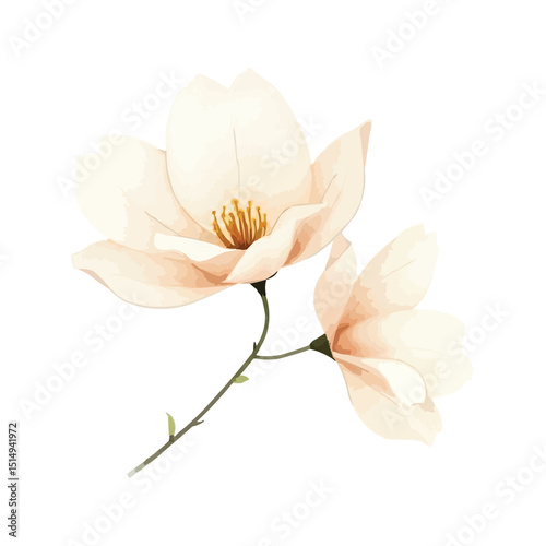 Fototapeta Naklejka Na Ścianę i Meble -  vector illustration of a flower watercolour