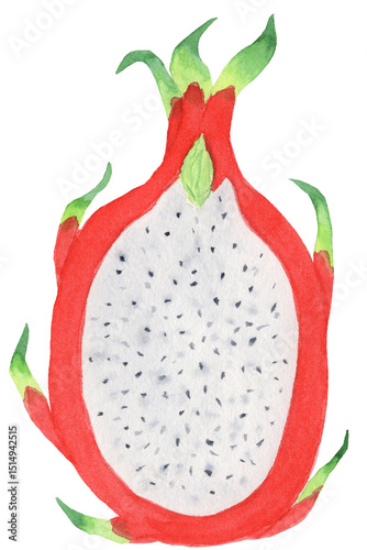 Watercolor illustration of a halved dragon fruit with white flesh and black seeds. Perfect for tropical designs, food prints, and healthy lifestyle projects.