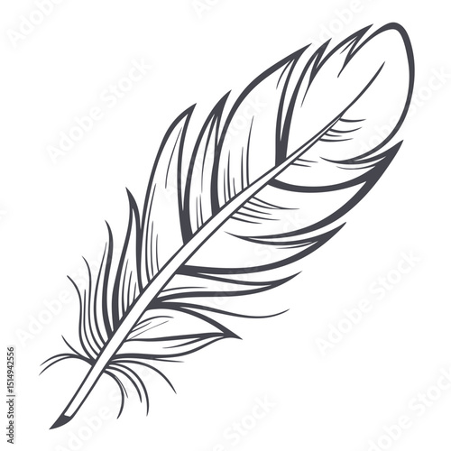 Single elegant line drawing of a bird feather