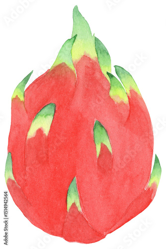 Watercolor illustration of a whole dragon fruit. Great for tropical designs, exotic food themes, and healthy lifestyle projects.