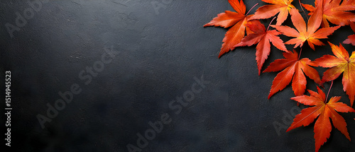 Autumn Leaves On Dark Background