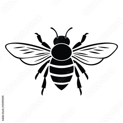 Bee vector art graphic illustration