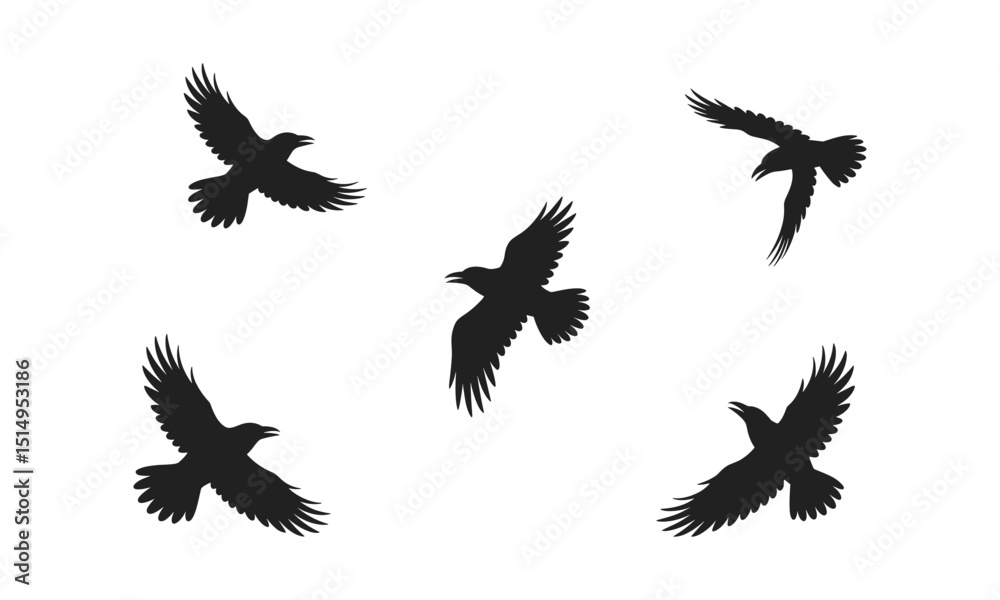 Fototapeta premium Silhouette Flying Ravens Vector Illustration Set