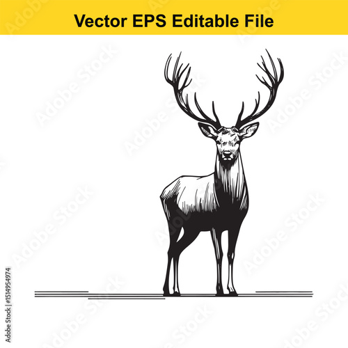 Whitetail Deer Line Art - Minimalist Western Sketch for Logo, Branding & Wall Decor
