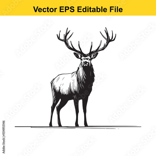Whitetail Deer Line Art - Minimalist Western Sketch for Logo, Branding & Wall Decor