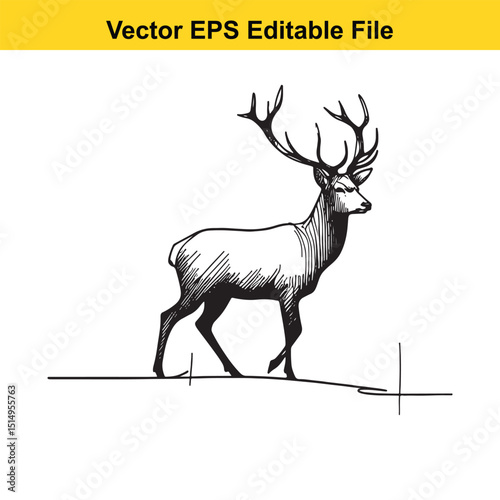 Whitetail Deer Line Art - Minimalist Western Sketch for Logo, Branding & Wall Decor