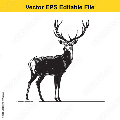 Whitetail Deer Line Art - Minimalist Western Sketch for Logo, Branding & Wall Decor