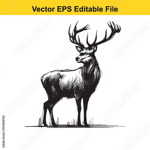 Whitetail Deer Line Art - Minimalist Western Sketch for Logo, Branding & Wall Decor