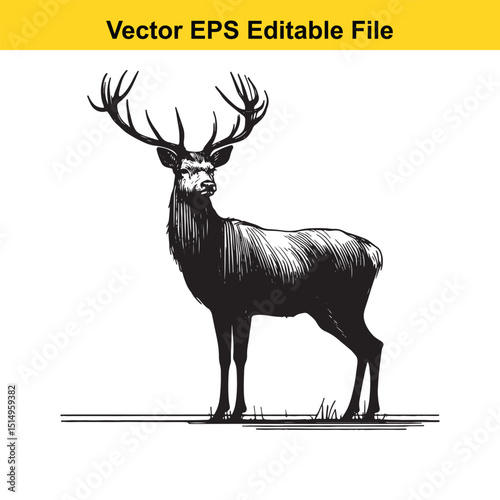 Whitetail Deer Line Art - Minimalist Western Sketch for Logo, Branding & Wall Decor