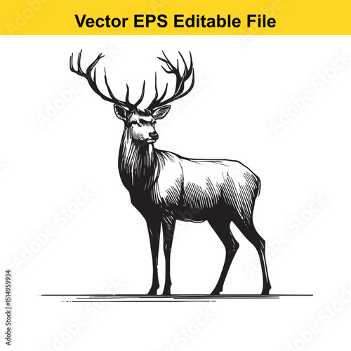 Whitetail Deer Line Art - Minimalist Western Sketch for Logo, Branding & Wall Decor