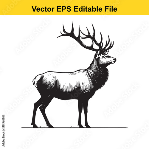 Whitetail Deer Line Art - Minimalist Western Sketch for Logo, Branding & Wall Decor