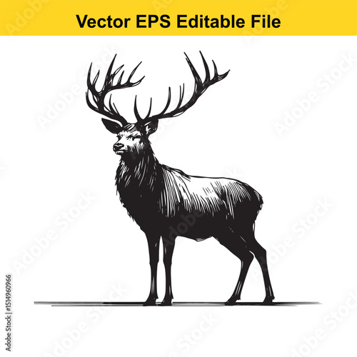 Whitetail Deer Line Art - Minimalist Western Sketch for Logo, Branding & Wall Decor
