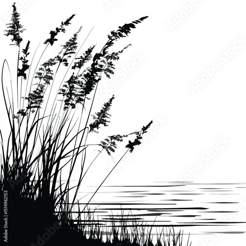 Reeds swaying by a lakeside. silhouette illustration