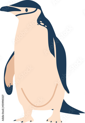 White-bellied antarctic penguin vector illustration