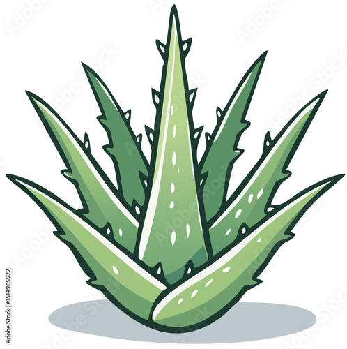 Spiky Succulent Graphic

