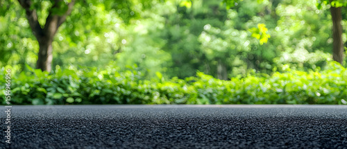 Park Scene With Green Trees And Asphalt Ground