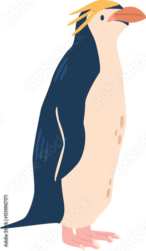 Golden-haired antarctic penguin vector illustration