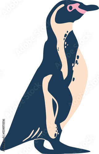 Black-footed spectacled african penguin vector illustration