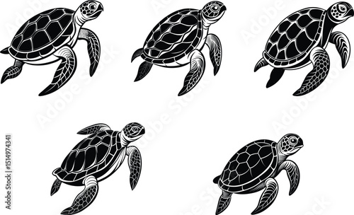 set of turtles, tortoise, logo vector illustration