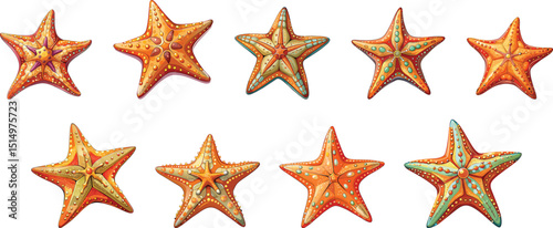 set of red starfish sea animal vector illustration