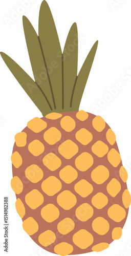Pineapple tropical fruit vector illustration