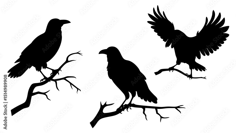 Obraz premium set of raven sitting on branch silhouette