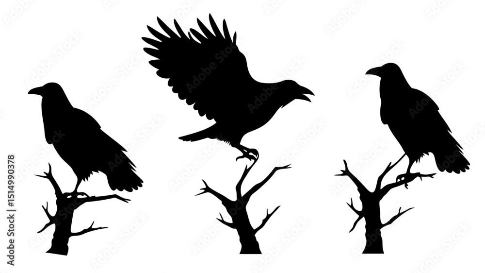 Fototapeta premium set of raven sitting on branch silhouette