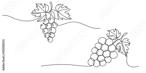 black Line Art Grape Bunches with Leaves, Grapes in continuous ONE line art drawing style silhouettes vector