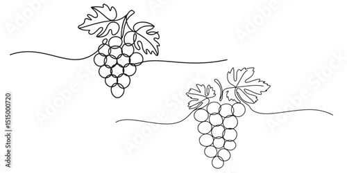 black Line Art Grape Bunches with Leaves, Grapes in continuous ONE line art drawing style silhouettes vector