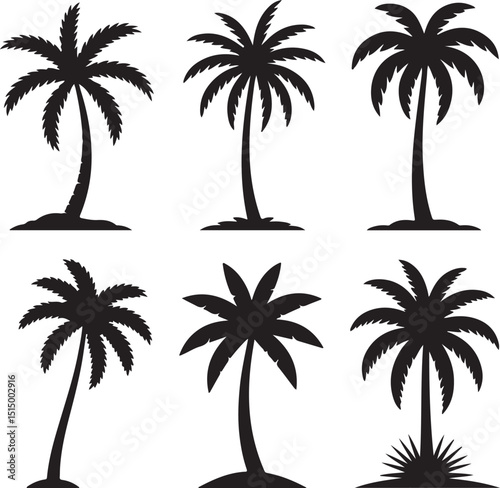 palm trees silhouettes