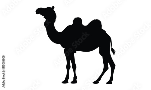 Camel Silhouette Vector Illustration 