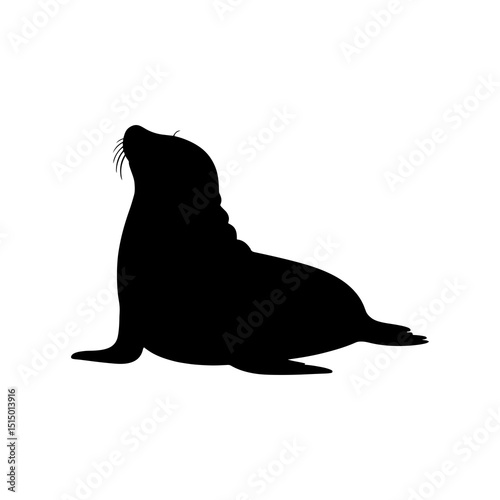 Silhouette of a sea lion sitting with its head raised and whiskers visible against a white background