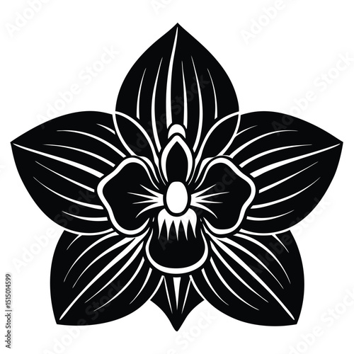 Elegant Black and White Orchid Flower Illustration Botanical Art Print