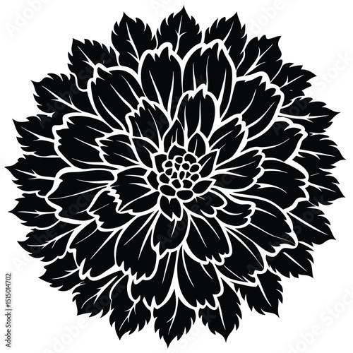 Elegant Black and White Dahlia Flower Illustration  A Stunning Floral Design