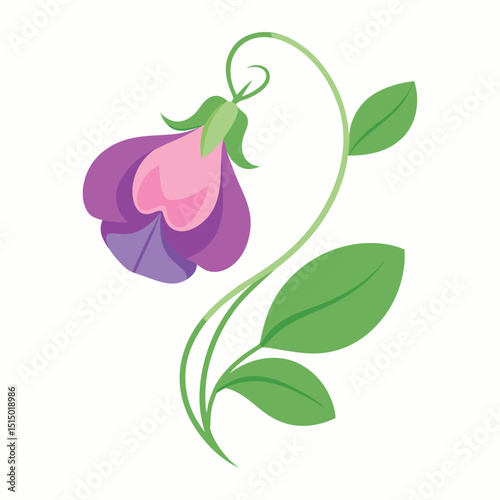 Elegant Purple and Pink Flower Illustration Delicate Floral Design Element