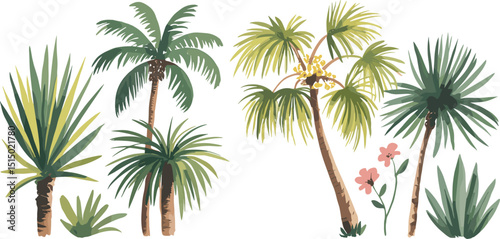 Tropical plant vector, palm tree illustration, exotic foliage clipart, desert garden art, botanical drawing, summer nature graphic, green leaves design