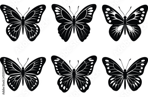 A vibrant set of isolated vector butterflies for spring nature illustration