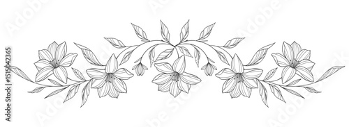 Line art Sketch Floral Botany. flower drawings. Black and white with line art on white backgrounds. Hand Drawn Botanical Illustrations.Vector
