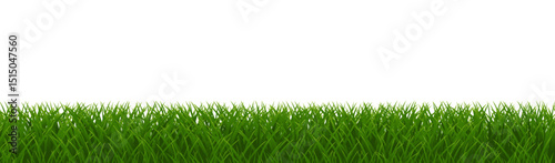 green grass isolated on white