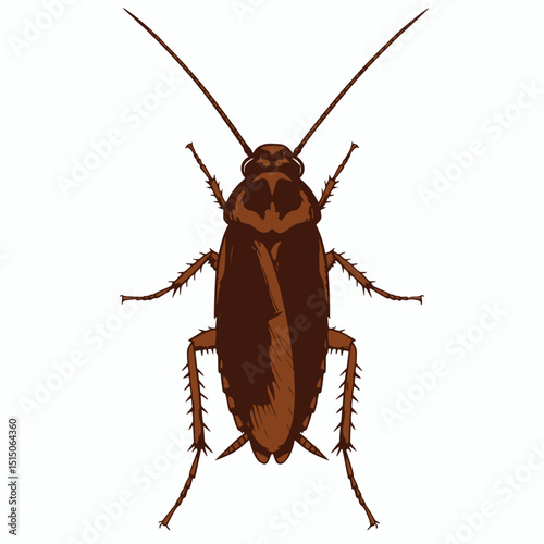 Brown Cockroach Illustration - Detailed Pest Vector Art