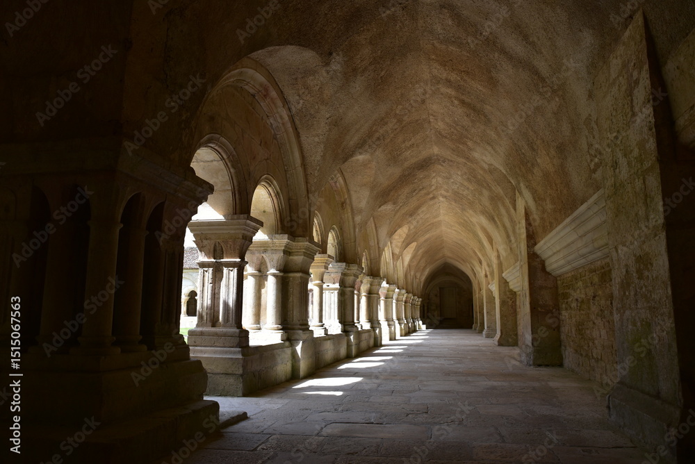 Colonnes du cloître de l'abbaye de Fontenay en Bourgogne. France Colonnes du cloître de l'abbaye de Fontenay en Bourgogne. France