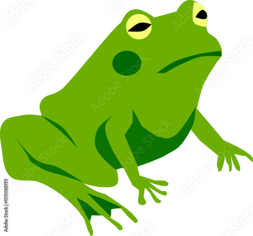 Green frog in a sitting position with yellow eyes