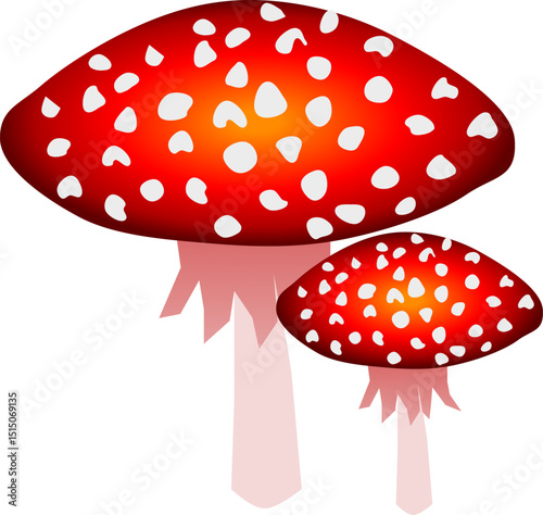 Poisonous and red, fly agaric ,with white dots