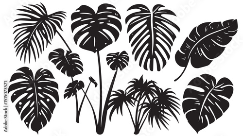 Set of black silhouettes tropical plants. Monstera and palm jungle leaves , black silhouettes isolated on white background