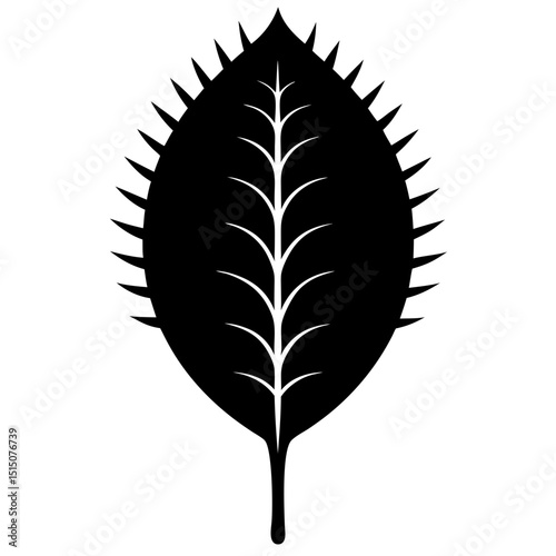 venus flytrap leaf on white background
